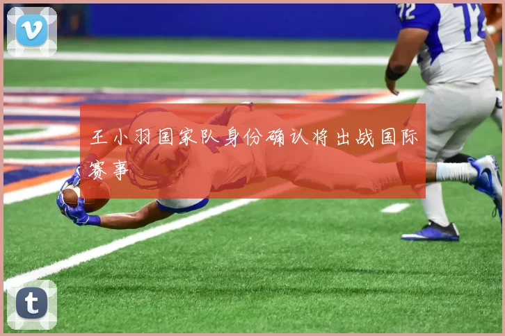 王小羽国家队身份确认将出战国际赛事