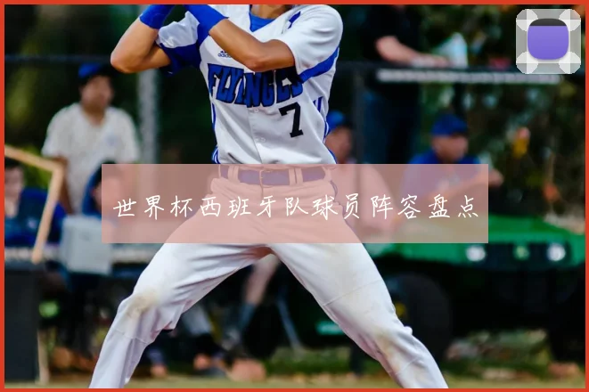 世界杯西班牙队球员阵容盘点