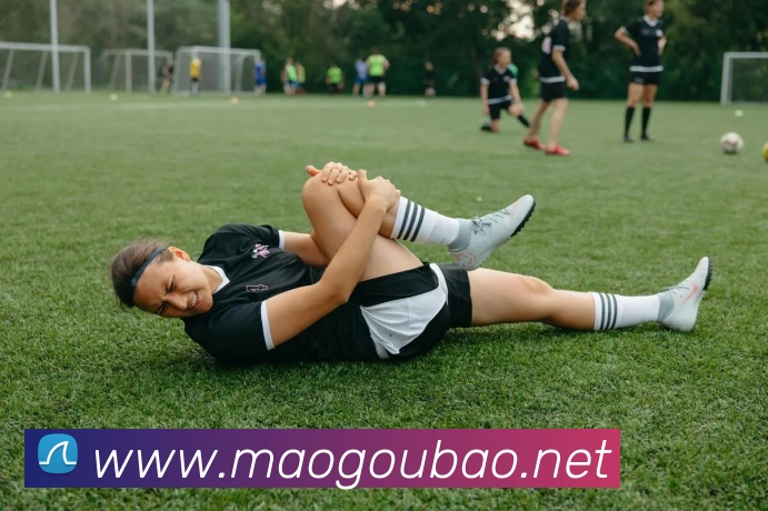 App Interface Preview