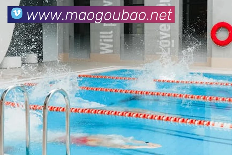 熊猫体育(官方网站) - 熊猫助力体育创新科技APP 封面图